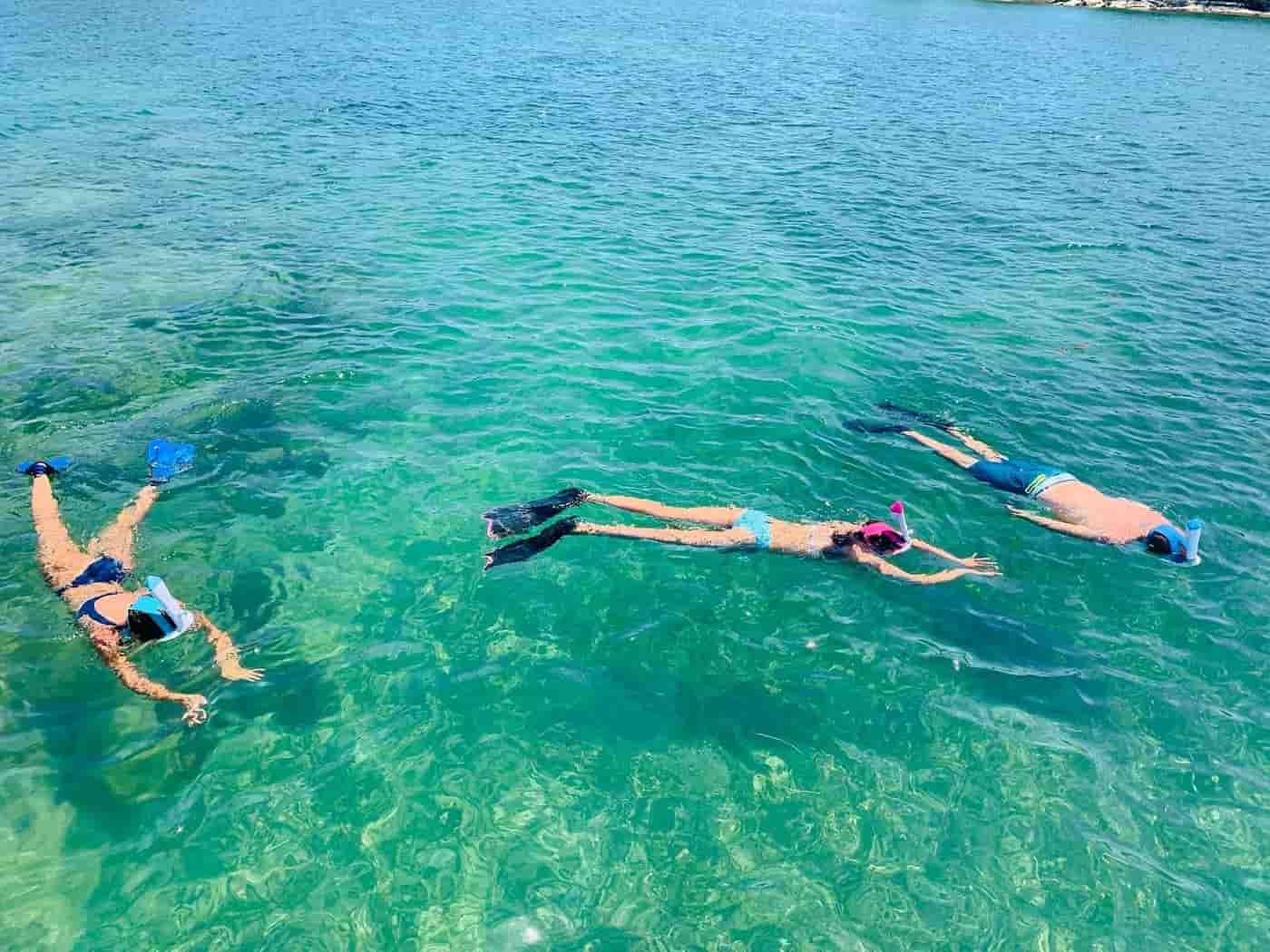 Best Snorkeling Spots in Miami For Exploring Marine Life
